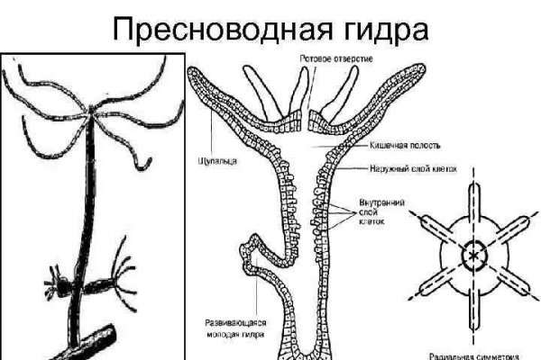 Ссылка на магазин кракен