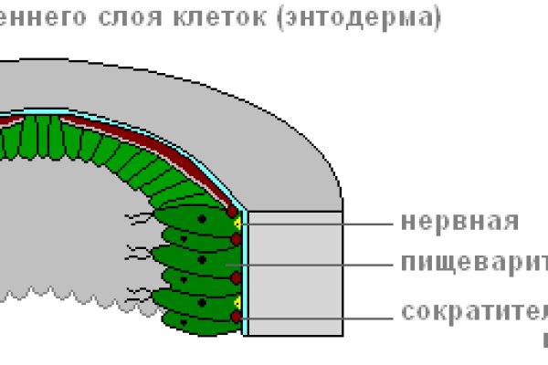 Как восстановить аккаунт в кракен